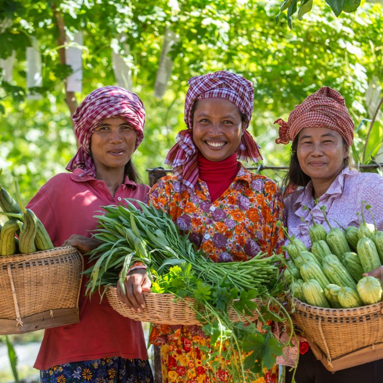 cambodia