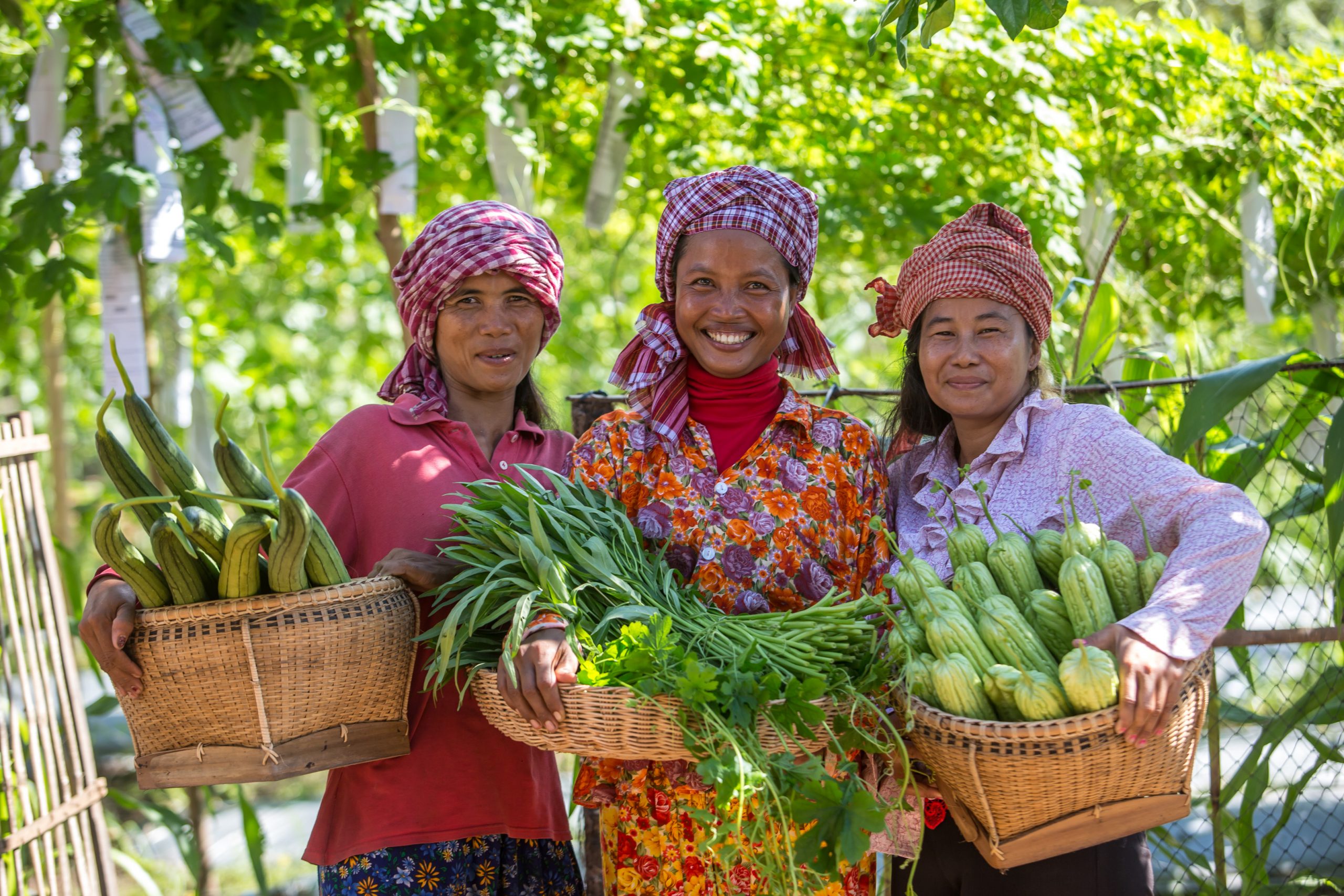 cambodia