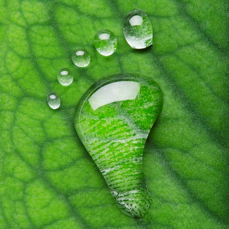 Footprint made from water drops on a green leaf