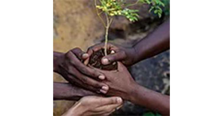 Harvesting for Good East Africa