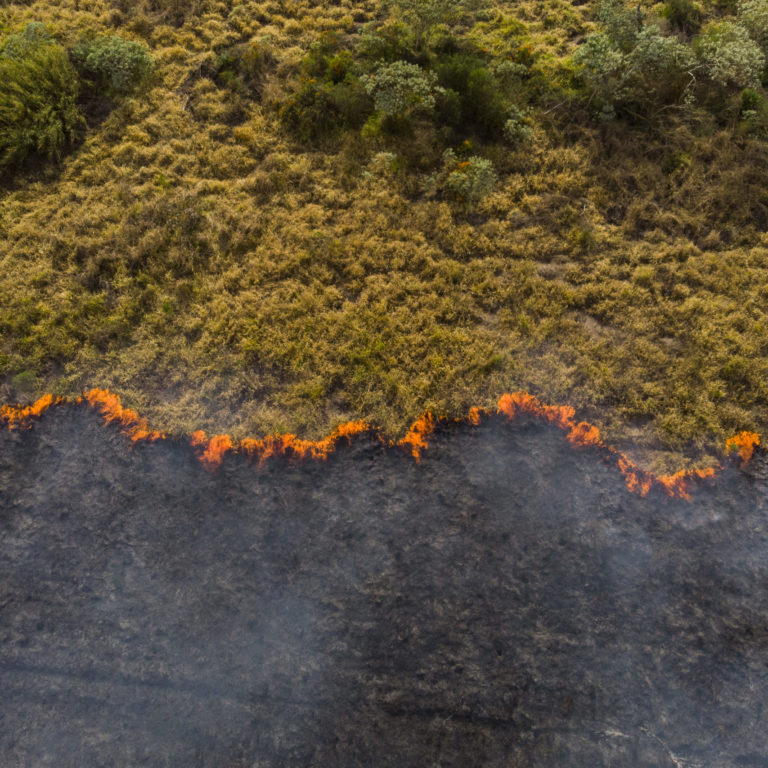 Forest fire in Brazil