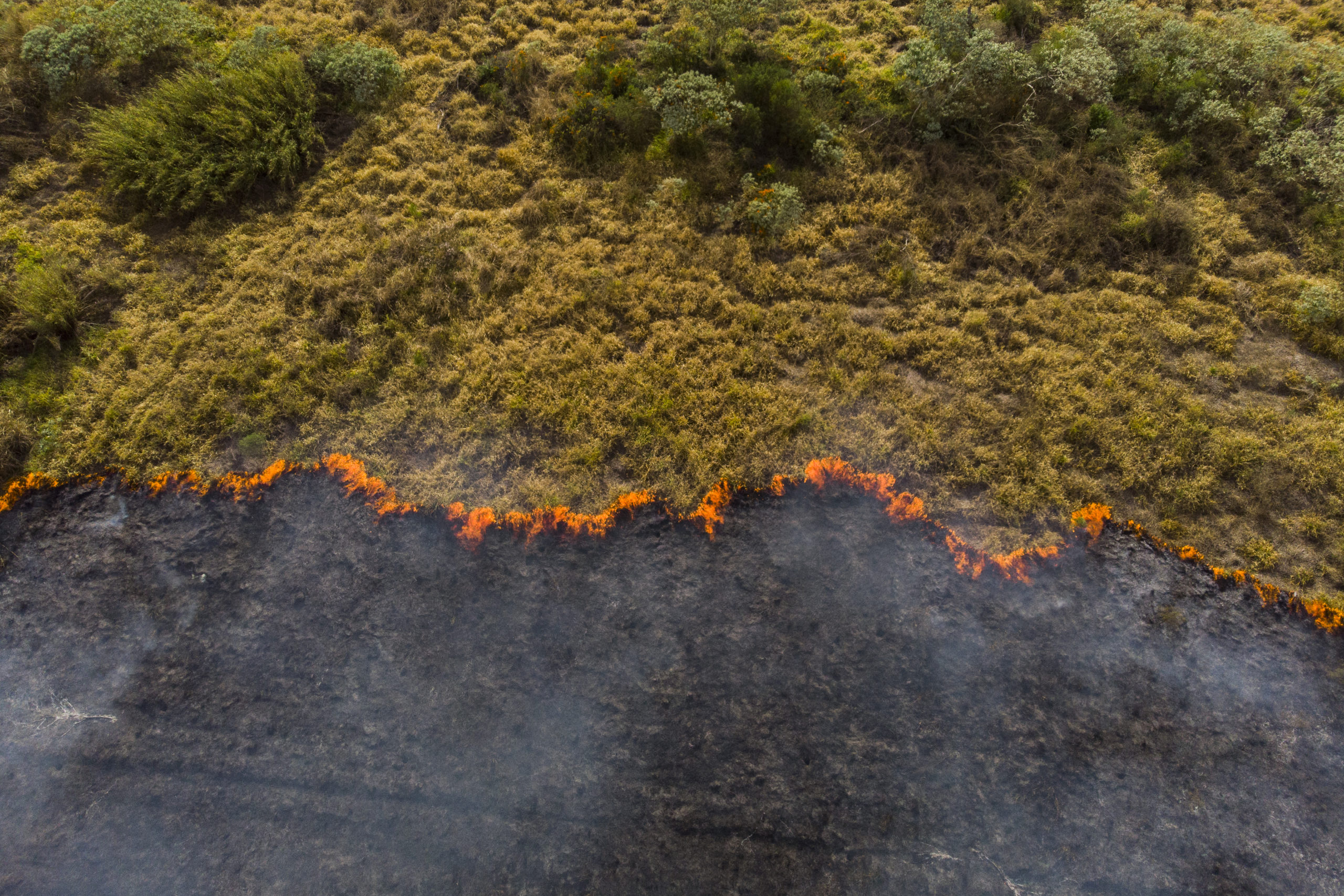 Forest fire in Brazil